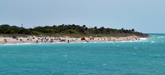 What Is The Temperature In Venice Beach Florida What Is The Temperature In Venice Beach Florida