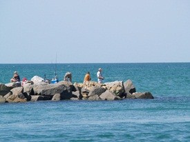 Fishing at the Venice Jetty