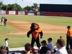 Orioles Mascot at Ed Smith Stadium Sarasota Florida