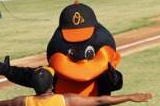 Orioles Mascot at Sarasota's Ed Smith Stadium