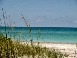 Sea Oats and Sand Dunes at Venice Beach