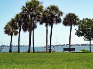 Bayside in Sarasota's Bayfront Park