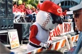 Cincinnati Reds Rally in downtown Sarasota Florida