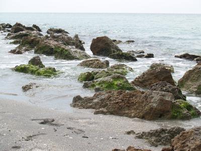 Caspersen Beach, Venice, FL