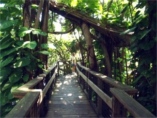 Marie Selby Botanical Gardens Splendor And Beauty At Once