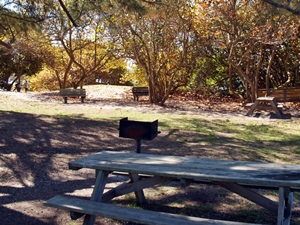 Picnic table and grill at North Jetty Park Nokomis Florida