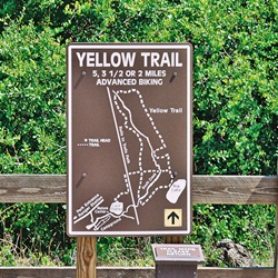 Trail Hiking at Oscar Scherer State Park's Yellow Trail