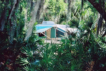 Camping at OScapr Scherer State Park near sarasota Florida