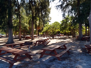 Picnic benches in the park at Siesta Key Beach