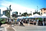 The Downtown Sarasota Farmers Market