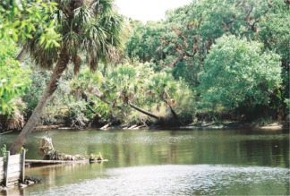 The Myakka River winds past Snook Haven near sarasota Florida