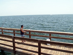 fishing off the pier st pete florida