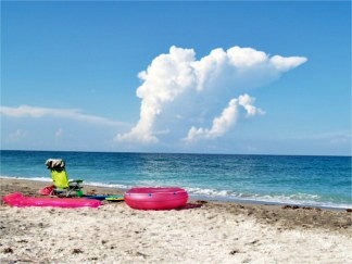 Turtle Beach Siesta Key Florida