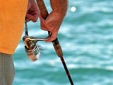 Fishing on Anna Maria Island Florida