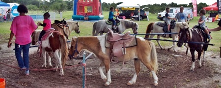 Pony rides at a Sarasota Fall Pumpkin Festival