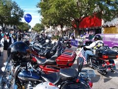 Sarasota Events Calendar - Fun things to do in Sarasota and the Sun Coast.