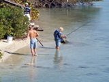 Sarasota fishing on the intra coastal waterway 