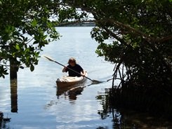 kayak eco-tour at Sarasota's Lido Key